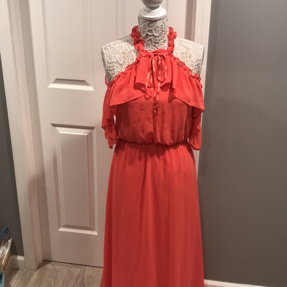 Brand new BCBG Maxazria Maxi gown - Picture 4 of 12